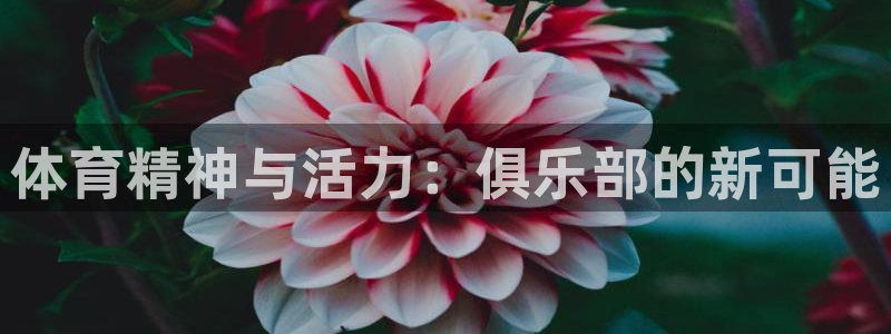 JJB竞技宝官网下载平台注册：体育精神与活力：俱乐部