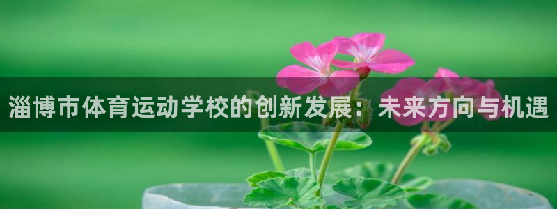 德国JJB竞技宝官方正版app集团：淄博市体育运动学校的创新