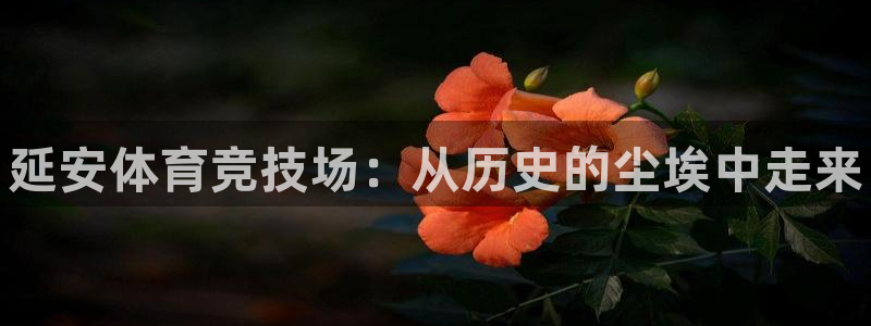 JJB竞技宝官网下载开户：延安体育竞技场：从历史的尘
