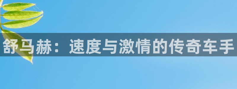 JJB竞技宝官网下载平台假的吗是真的吗吗：舒马赫：速