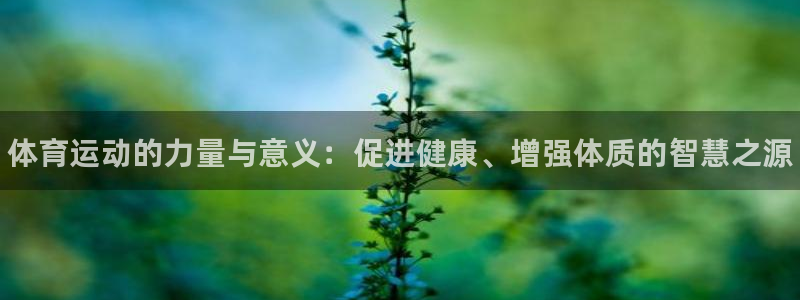 JJB竞技宝官网下载招商电话地址查询：体育运动的力量