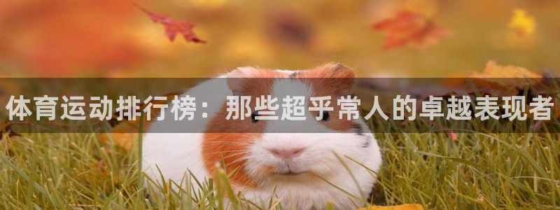 JJB竞技宝官网下载：体育运动排行榜：那些超乎常人的卓越表现