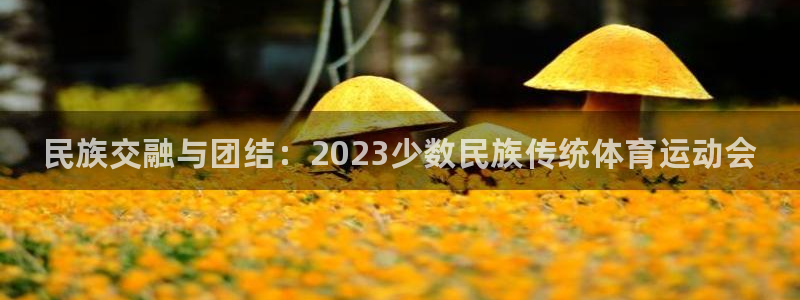 JJB竞技宝官网下载平台是正规平台吗知乎：民族交融与