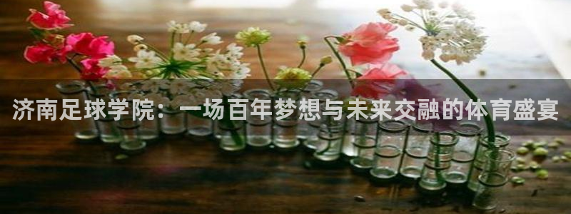 JJB竞技宝官网下载招商电话地址：济南足球学院：一场百年梦想