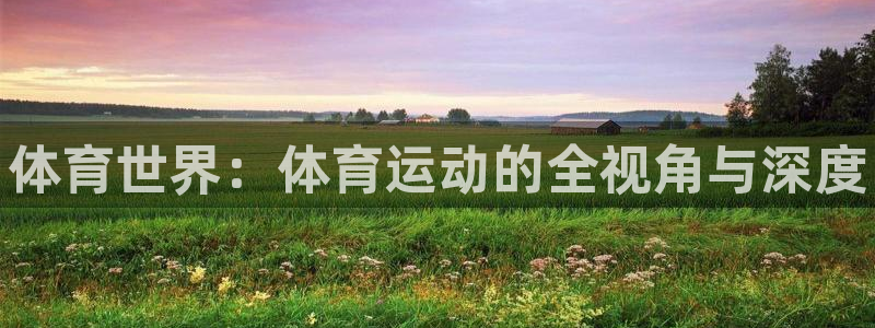 JJB竞技宝官网下载平台APP：体育世界：体育运动的全视角与