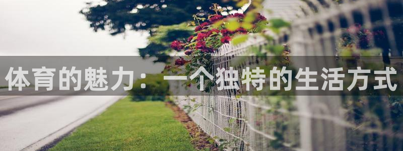 JJB竞技宝官网下载平台注册要钱吗是真的吗：体育的魅力：一个