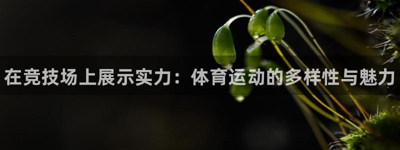 JJB竞技宝官方正版app科技：在竞技场上展示实力：