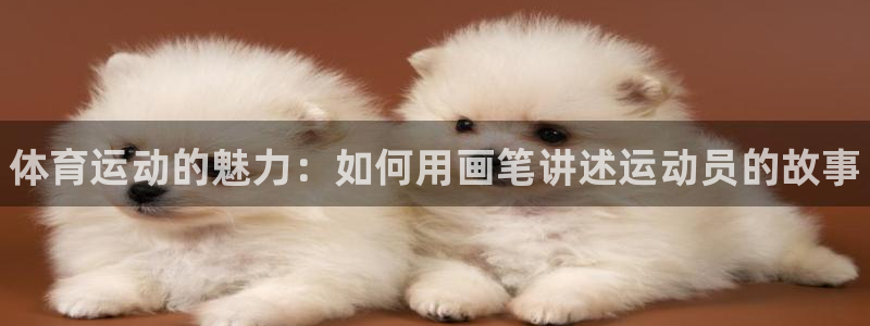JJB竞技宝官网下载招商电话地址是多少：体育运动的魅