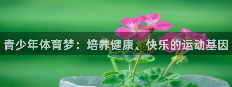 注册JJB竞技宝官方正版app：青少年体育梦：培养健康、快乐