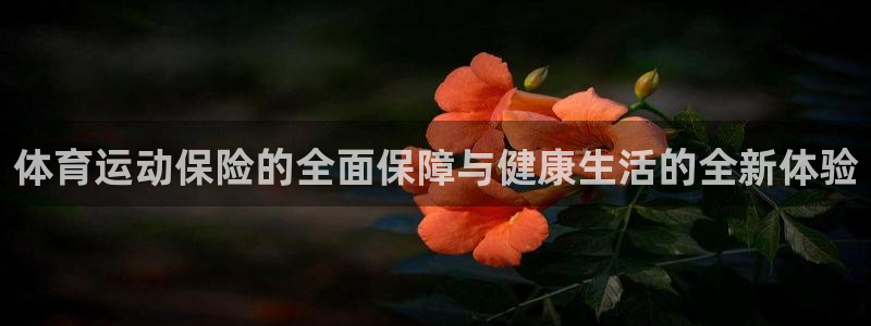 JJB竞技宝官网下载联系电话：体育运动保险的全面保障与健康生