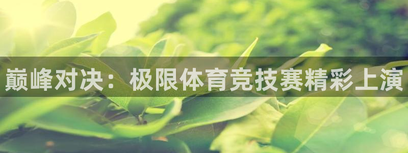 JJB竞技宝官网下载平台注册要钱吗：巅峰对决：极限体