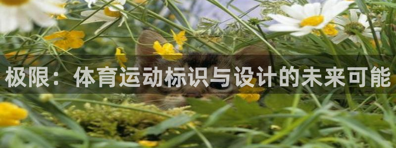 JJB竞技宝官网下载平台假的吗是真的吗：极限：体育运动标识与