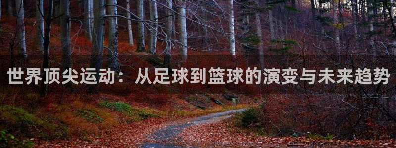 JJB竞技宝官方正版app娱乐平台：世界顶尖运动：从