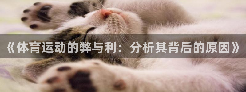 JJB竞技宝官网下载招商：《体育运动的弊与利：分析其