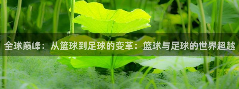 JJB竞技宝官方正版app神州：全球巅峰：从篮球到足球的变革