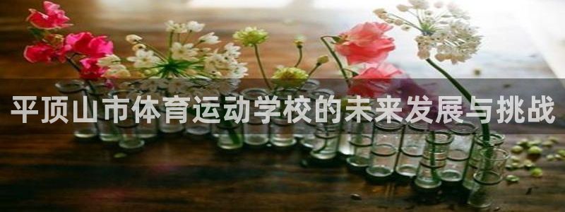 JJB竞技宝官网下载招商电话号码是多少啊：平顶山市体