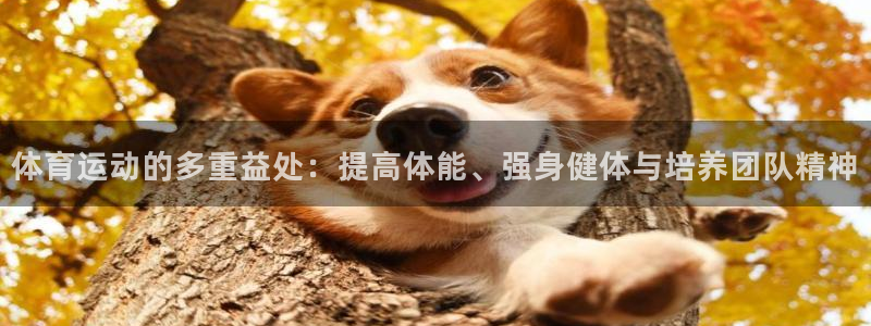 JJB竞技宝官方正版app集团官网首页