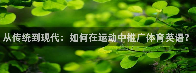 JJB竞技宝官网下载招商电话是多少啊：从传统到现代：