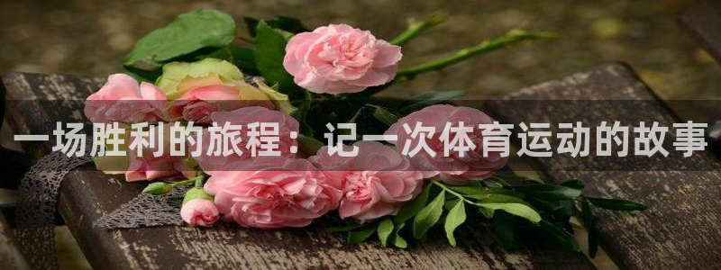 JJB竞技宝官方正版app娱乐首页网站大全：一场胜利的旅程：